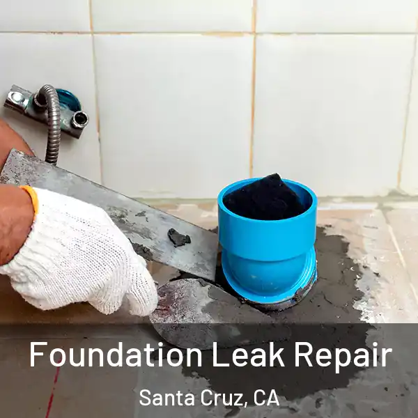  Foundation Leak Repair Santa Cruz, CA