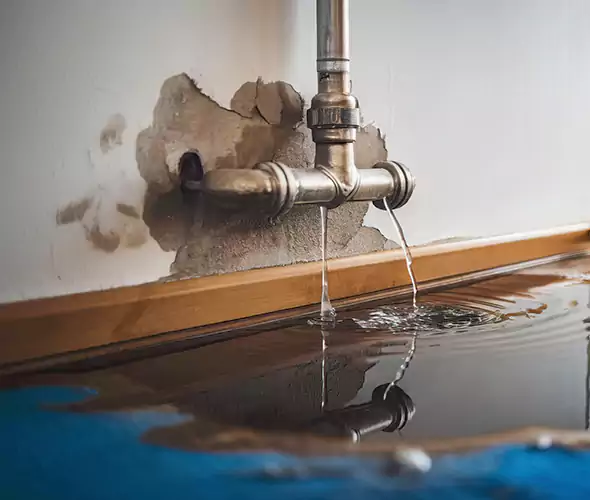 Professional Water Damage Restoration Experts in Santa Cruz, CA — Fast, Reliable & Certified