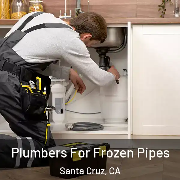  Plumbers For Frozen Pipes Santa Cruz, CA