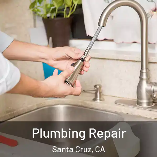  Plumbing Repair Santa Cruz, CA