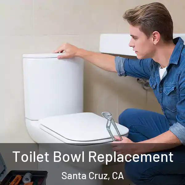  Toilet Bowl Replacement Santa Cruz, CA