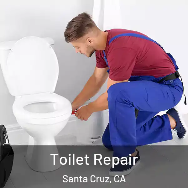  Toilet Repair Santa Cruz, CA