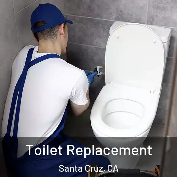  Toilet Replacement Santa Cruz, CA