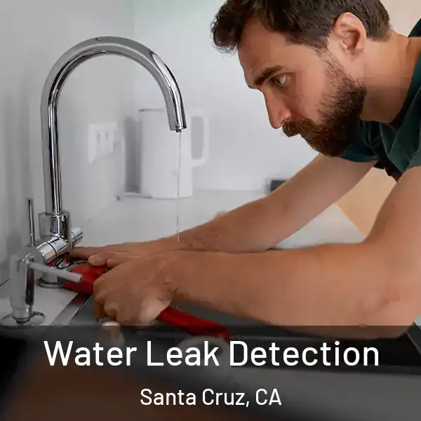  Water Leak Detection Santa Cruz, CA