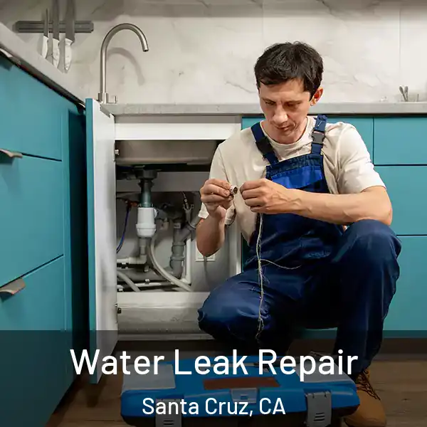  Water Leak Repair Santa Cruz, CA